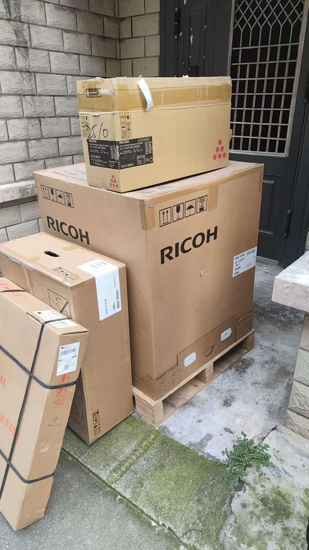 1776136086233275.jpg IMC201001.jpg